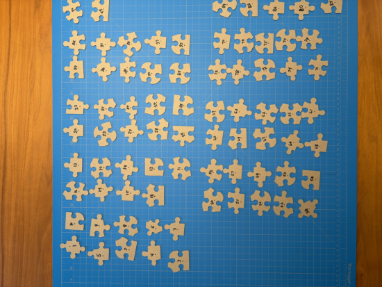 Jigsaw puzzle pieces, each numbered, photographed from above on a blue mat.